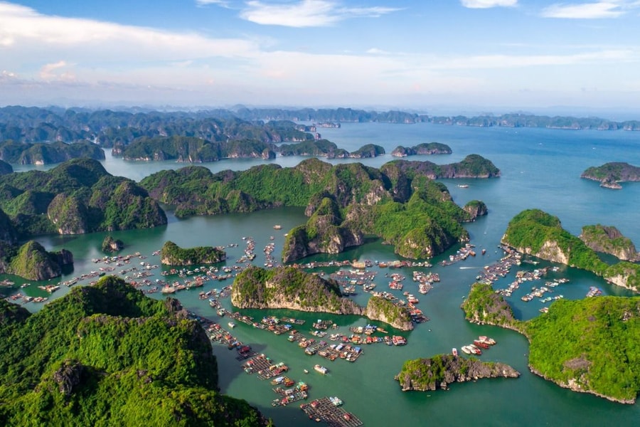 “Mách nước” 8 bí quyết đưa Cát Bà thành đảo sinh thái xanh toàn diện‏