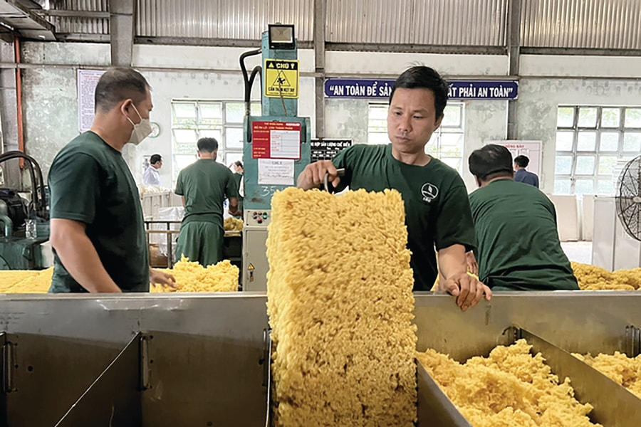 Cổ phiếu cao su trở lại “đường đua”?