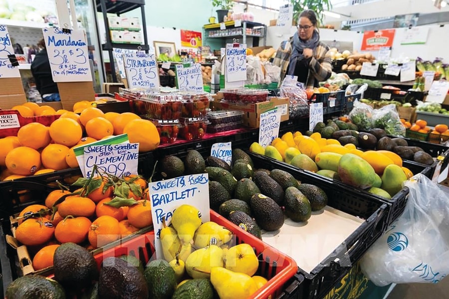 Xuất khẩu sang Canada sắp gặp "cơn gió ngược"