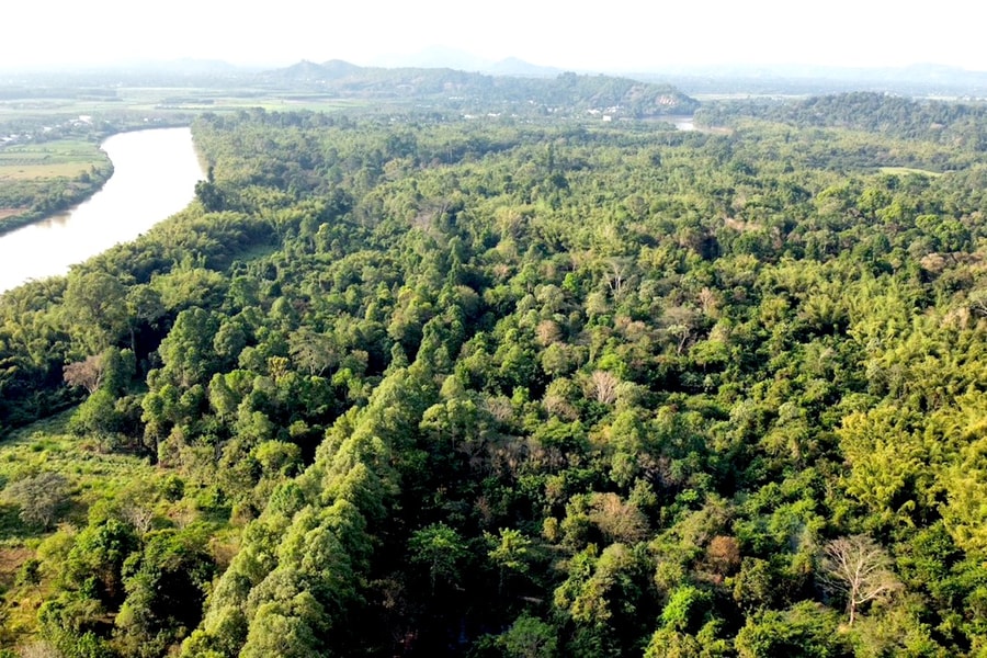 Rào cản khiến doanh nghiệp "hụt hơi" trong cuộc đua thị trường tín chỉ carbon