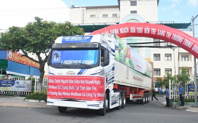 Bến Tre xuất khẩu dừa tươi sang thị trường Trung Quốc