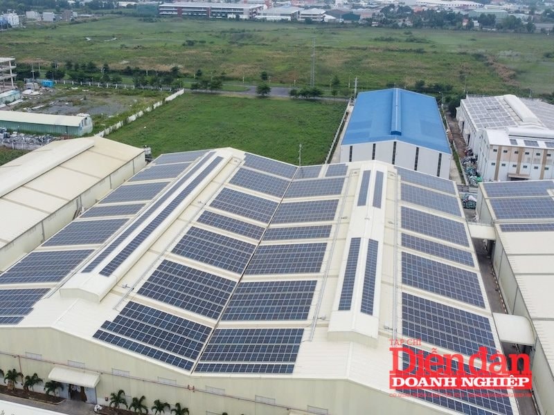 Cơ hội cho doanh nghiệp xuất khẩu từ cơ chế khuyến khích phát triển ĐMTMN tự sản, tự tiêu