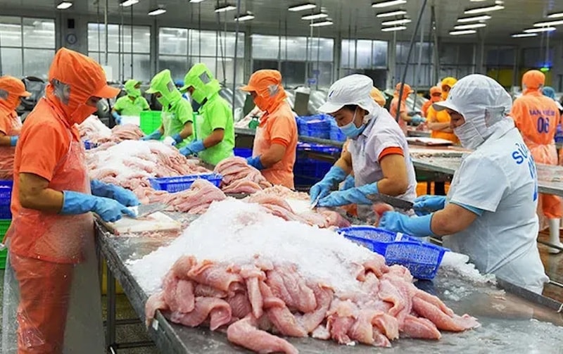 Hiệp định CEPA: "Đường lớn" đã mở cho doanh nghiệp