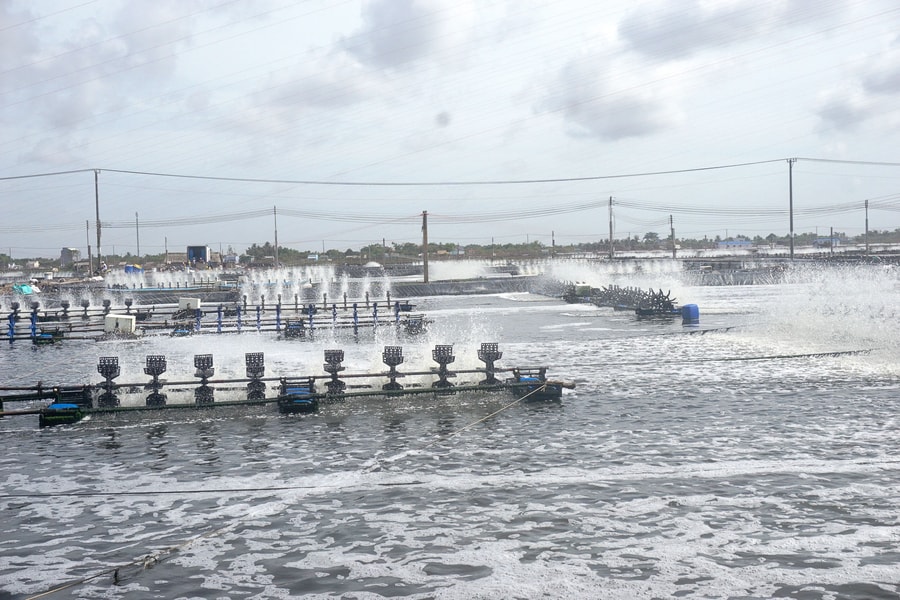 Sóc Trăng phát triển nông nghiệp bền vững