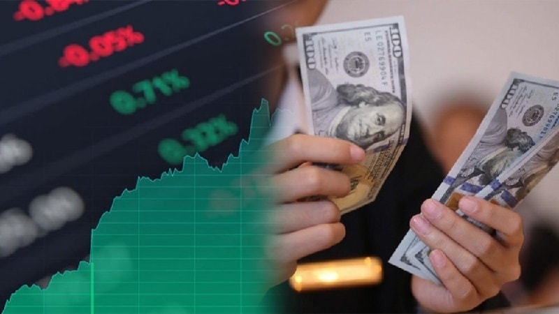 Quỹ mở "ngược chiều" thị trường, bội thu lợi nhuận