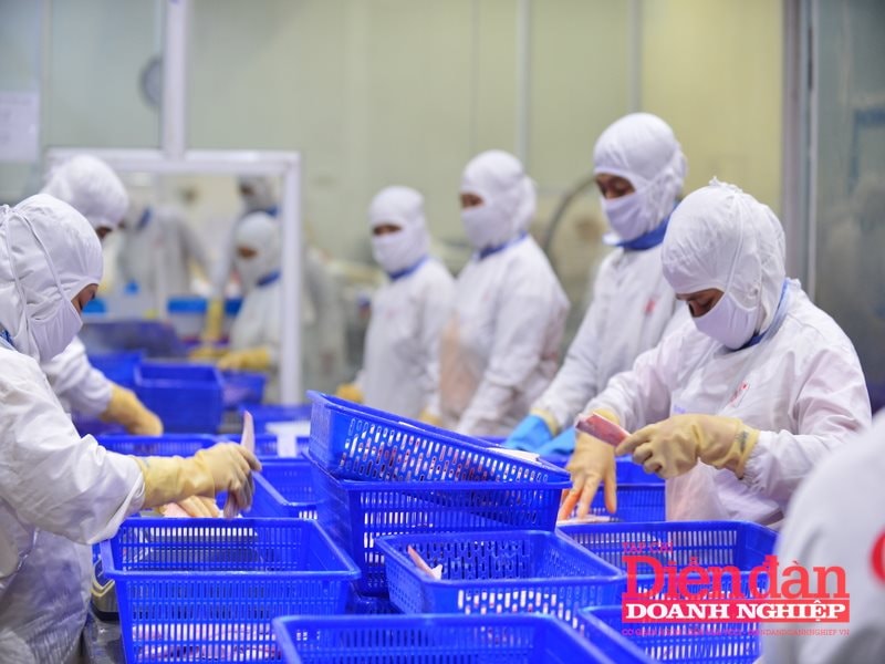 Bổ sung i-ốt vào thực phẩm: Nên chọn lọc hay phủ toàn diện?