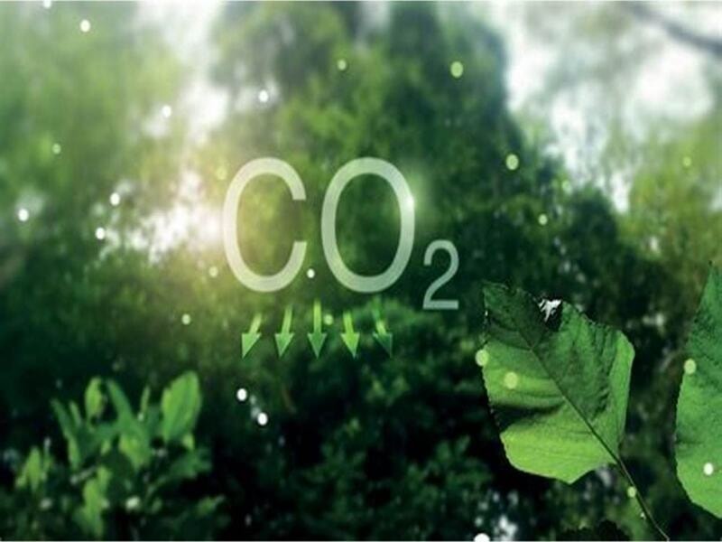 Thúc đẩy phát triển thị trường tín chỉ carbon