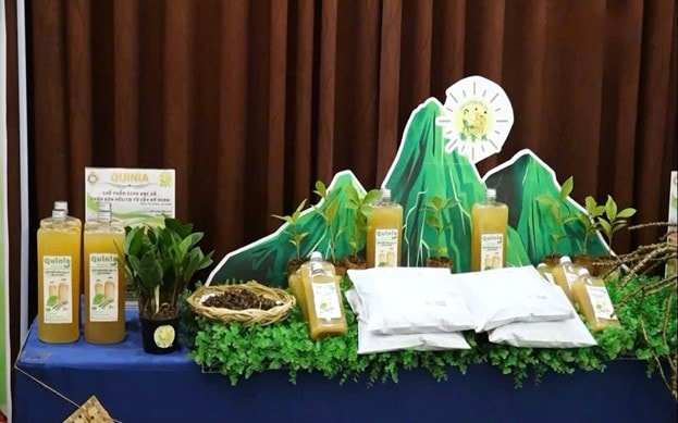 Khởi nghiệp Quốc gia năm 2024: Dự án Quinia lọt Top 20 dự án xuất sắc