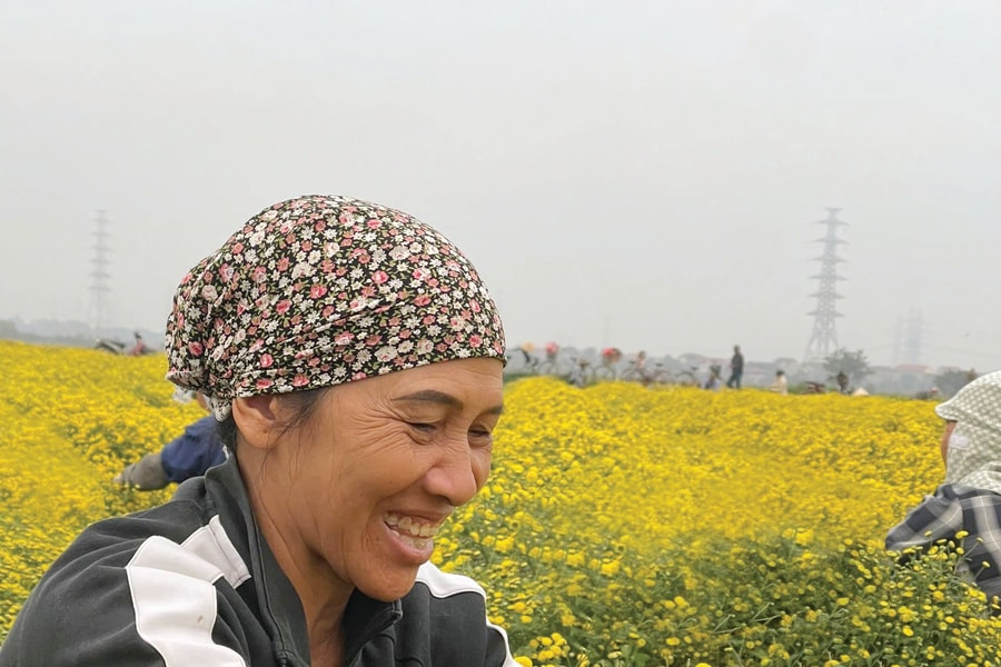 Traphaco: Đông dược cao cấp - Tân dược chất lượng cao