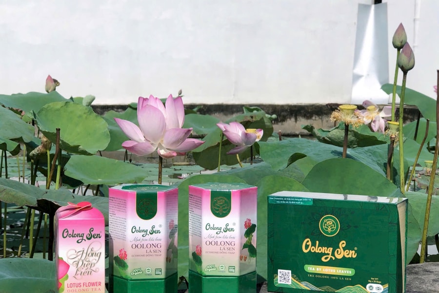 Khởi nghiệp Quốc gia năm 2024: Dự án OolongSen lọt Top 20 dự án xuất sắc