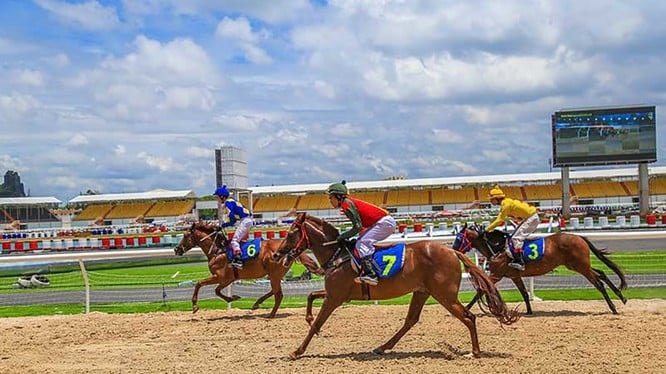 Đề xuất xây dựng nghị định mới cho đặt cược thể thao