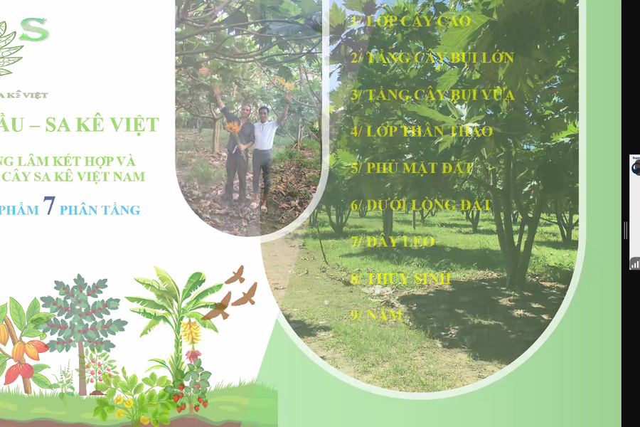 Niềm hạnh phúc của người cố vấn