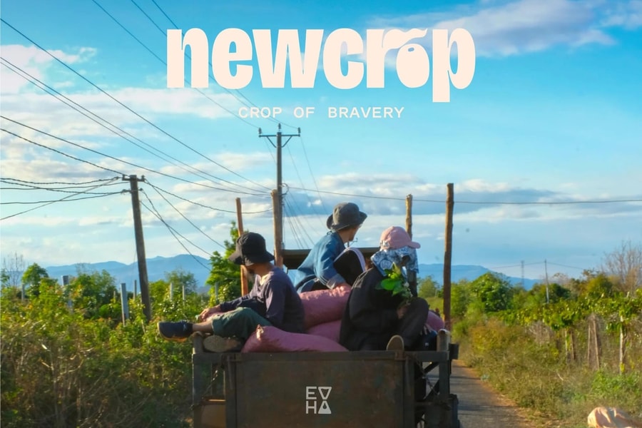 Bền vững – từ nhận thức đến tăng trưởng