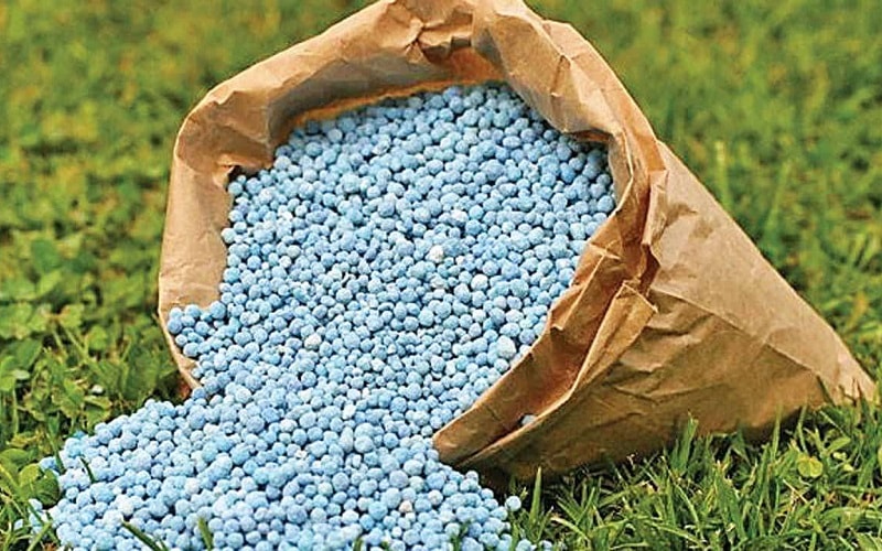 Ngành phân bón sẽ đối diện với những rủi ro gì?