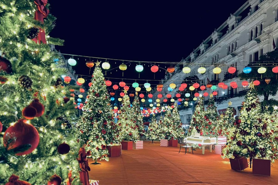 Danko City - Rộn ràng không khí Giáng sinh với vườn thông khổng lồ