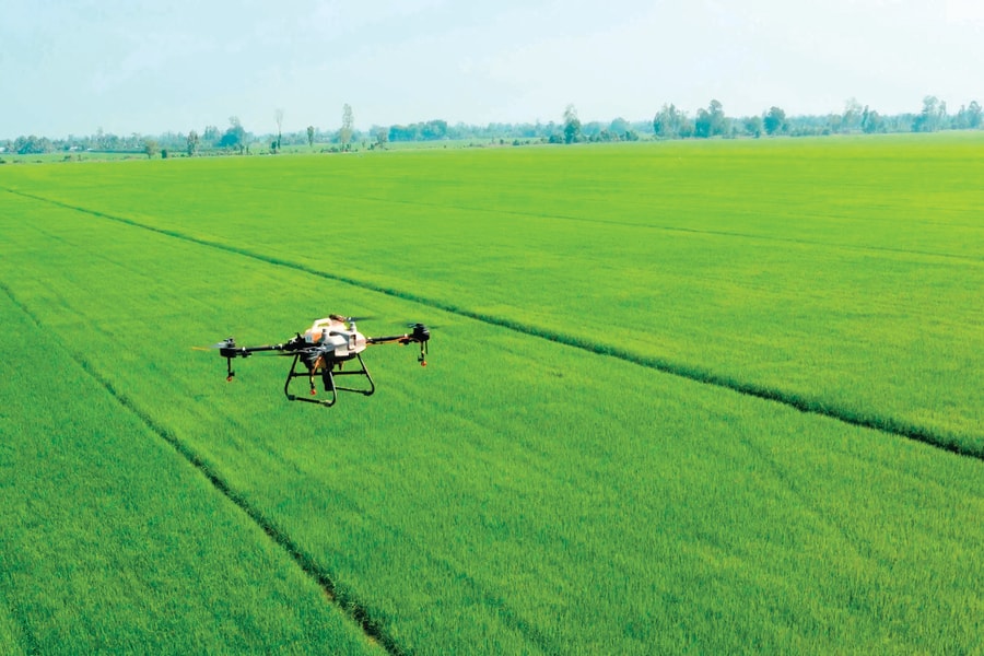 Cần Thơ thu hút đầu tư “nông nghiệp xanh” phát triển bền vững