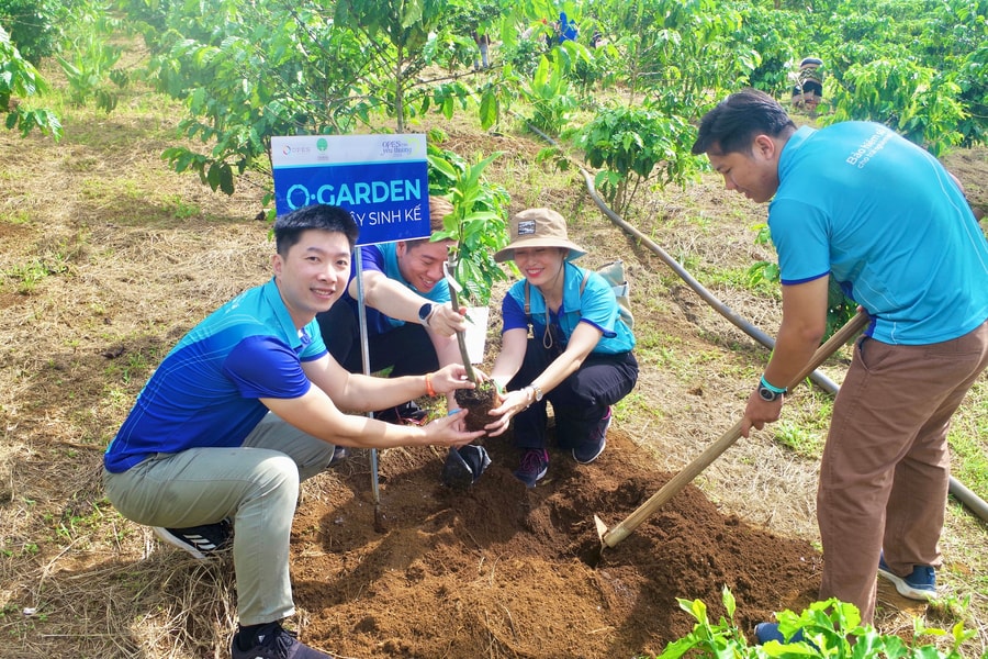Bảo hiểm số OPES góp phần xây dựng tương lai bền vững từ cây sinh kế