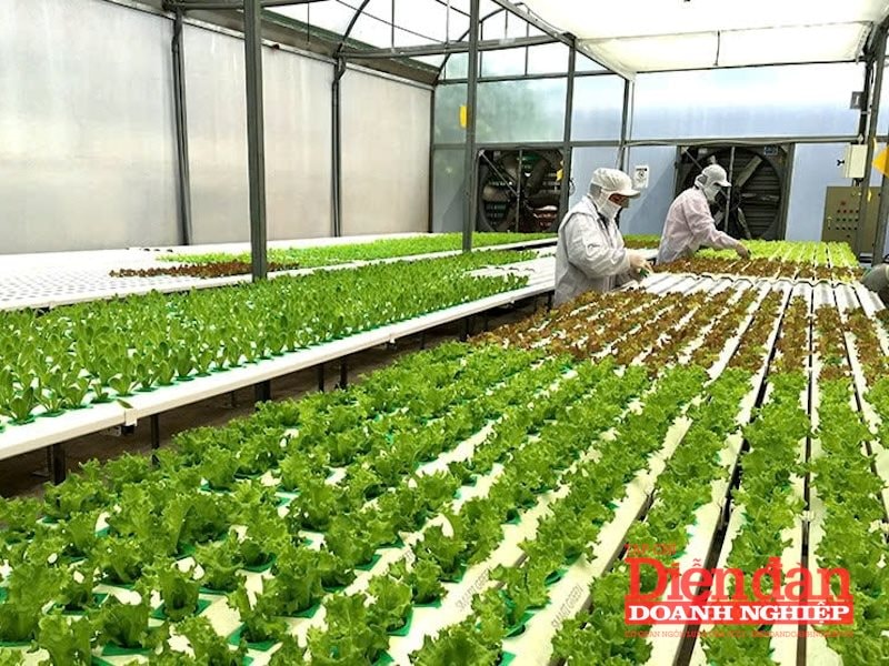Đòn bẩy từ công nghệ nông nghiệp cho Đông Nam Á