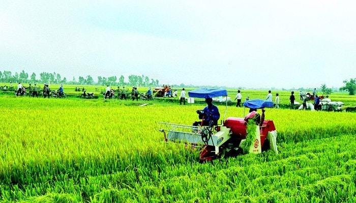 Nâng cao sử dụng nguồn vốn ODA cho ngành nông nghiệp