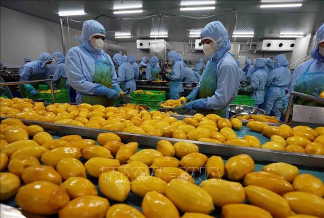 “Mở hàng” năm mới 2025