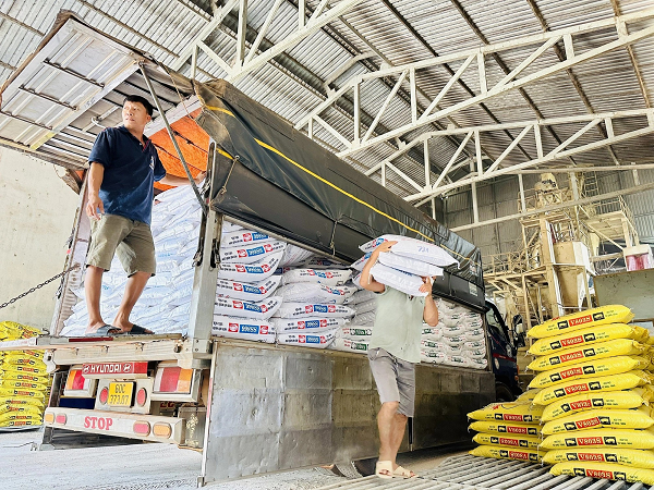 Vì sao "thủ phủ chăn nuôi" của cả nước phải “cầu cứu” Chính phủ?