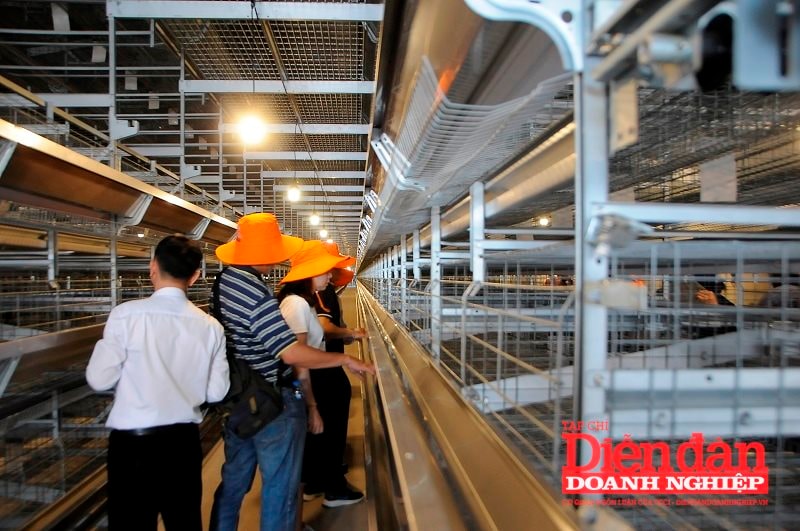 Khánh thành khu chăn nuôi gà đẻ trứng công nghệ cao Mebi Farm