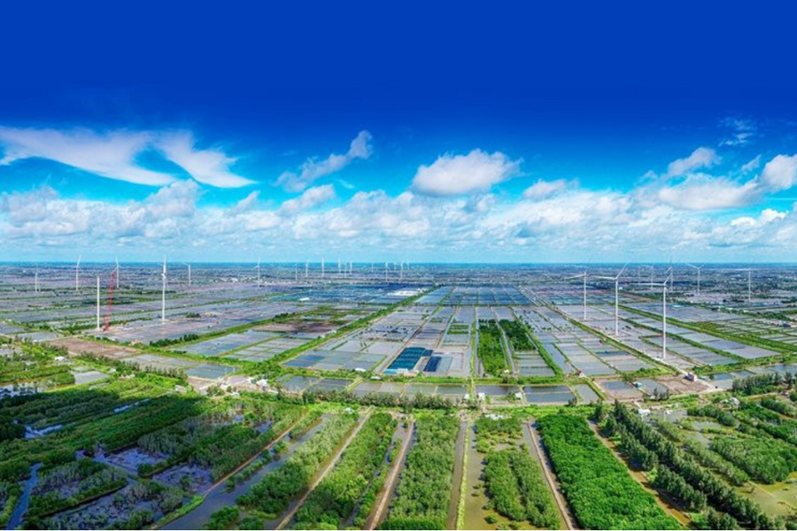 Khung pháp lý cho cơ chế giao dịch trên thị trường tín chỉ carbon