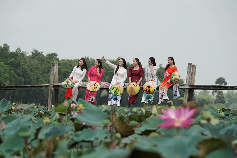 Những điểm nhấn tại Lễ hội Sen Đồng Tháp lần II năm 2024