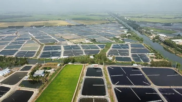 Đề xuất miễn, giảm tiền thuê đất cho các dự án nông nghiệp