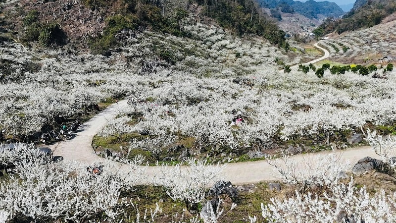 Thúc đẩy du lịch Mộc Châu xứng với tiềm năng