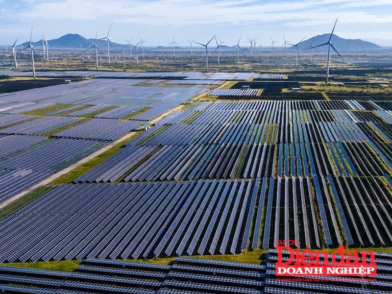 Điện gió ngoài khơi: Doanh nghiệp nội có “thua” trên sân nhà?