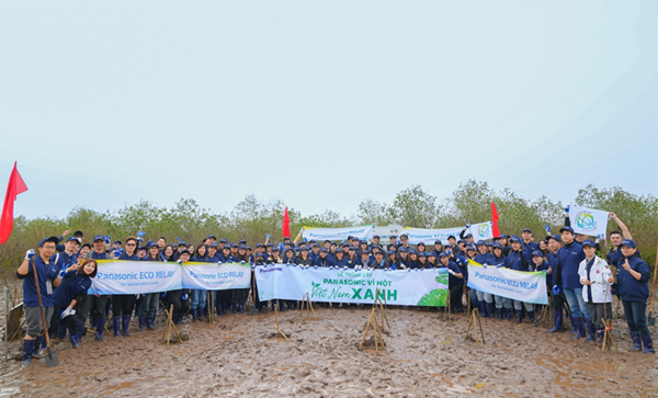 Trồng rừng ngập mặn tại tỉnh Thái Bình - dấu ấn vì một Việt Nam xanh