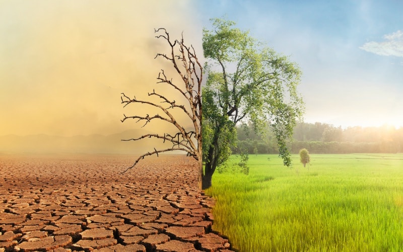 IRCAI và AWS tài trợ tới 4 triệu USD cho startup công nghệ chống biến đổi khí hậu