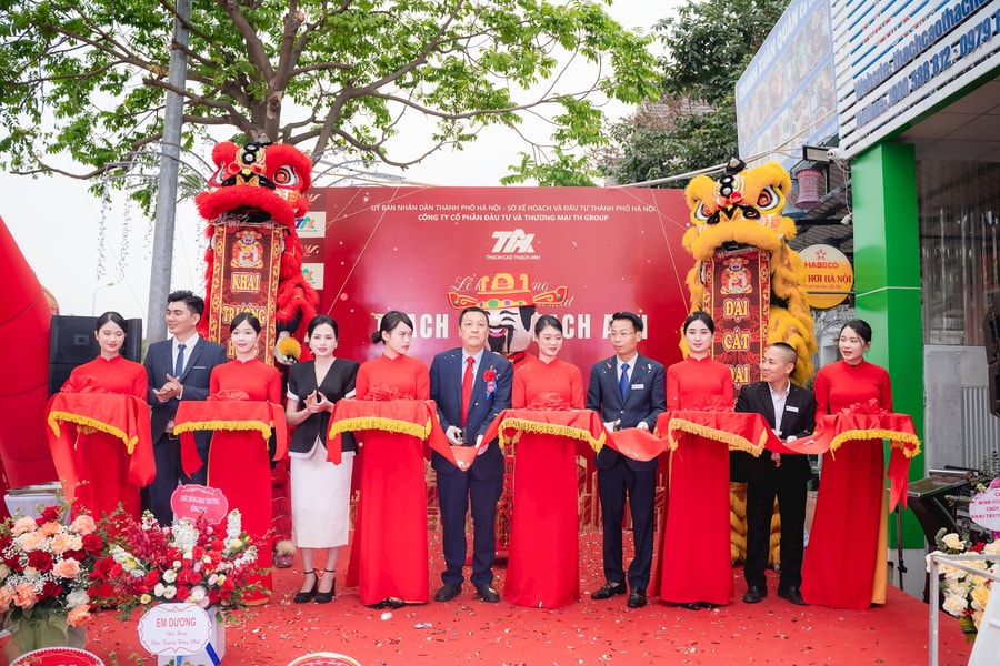 Thạch Cao Thạch Anh: bước đột phá mới trong ngành vật liệu xây dựng