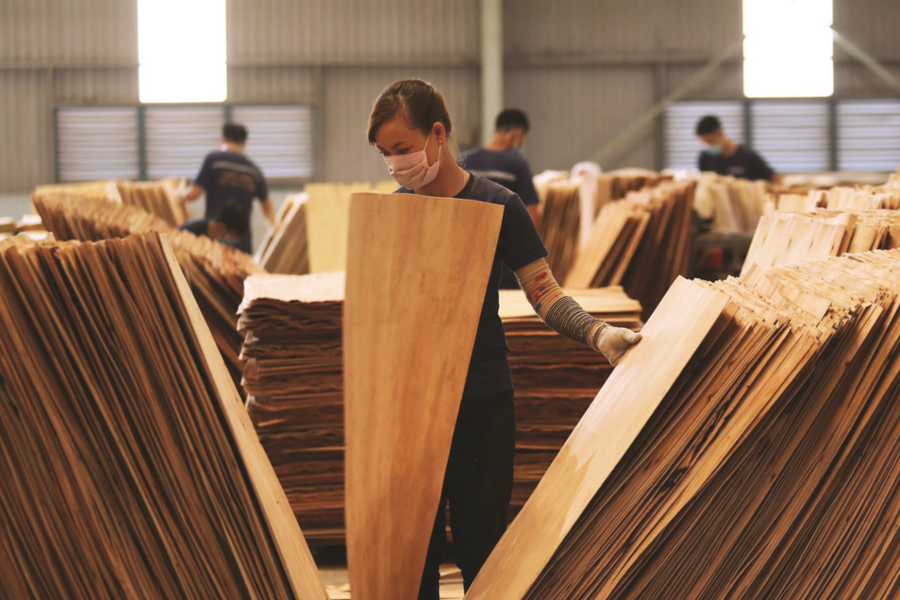 Ngành gỗ Việt Nam chủ động thích ứng trước chính sách thuế mới từ Mỹ