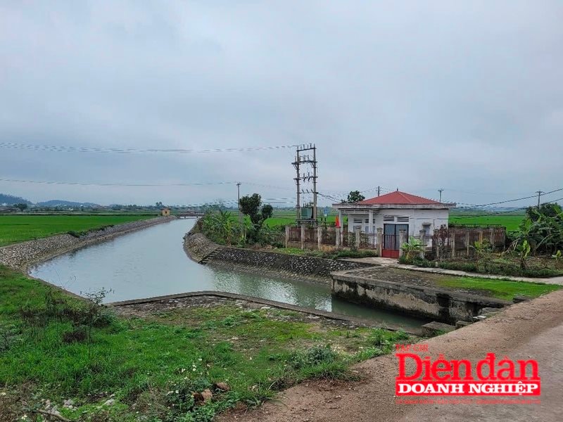 Công ty thủy lợi Thủy Nguyên chủ động nguồn nước cho vụ Đông Xuân