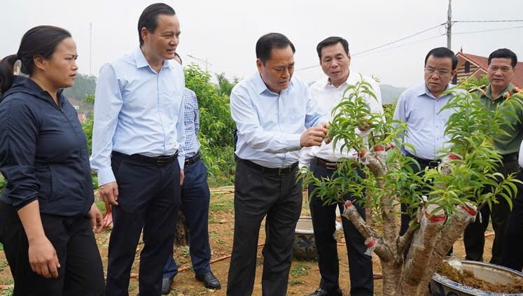 Lạng Sơn làm gì để tăng trưởng kinh tế đạt 8 - 9% năm 2025?