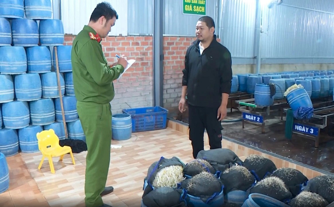 “Tử huyệt” hậu kiểm - Kỳ 4: “Trung thực” mất lối - “gian dối” mở đường