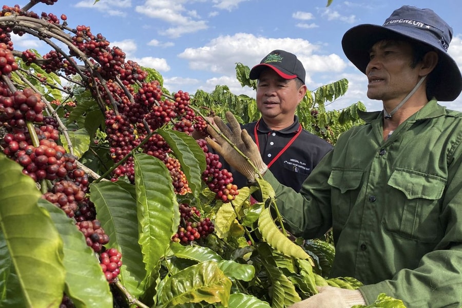 Nắm bắt cơ hội từ tái cấu trúc chuỗi giá trị toàn cầu