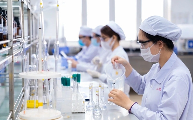 DHG “ngấm đòn” cạnh tranh