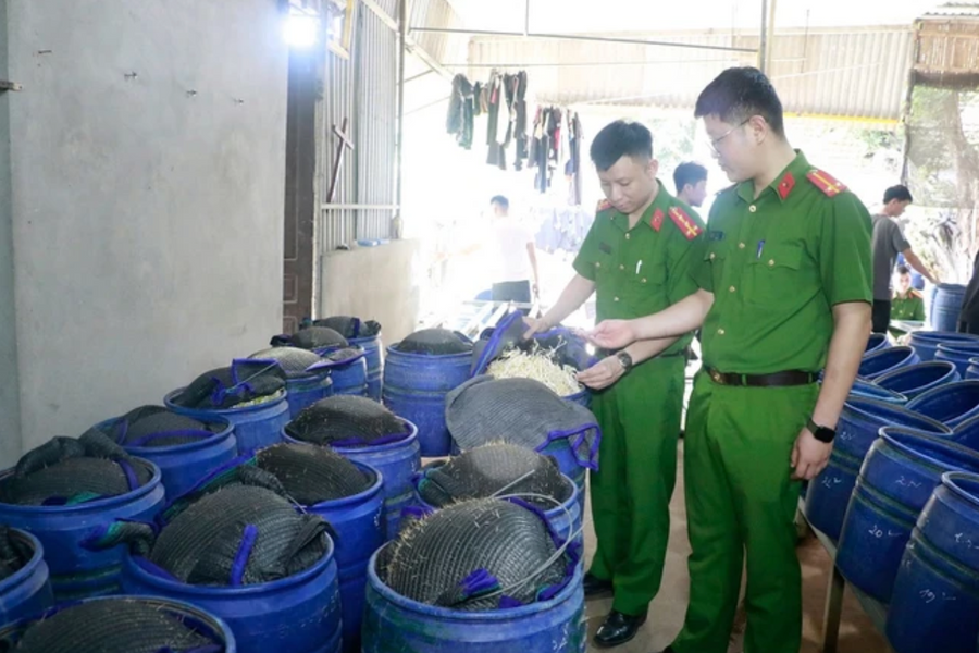 Thực phẩm độc hại “tấn công” người dùng - ai chịu trách nhiệm?