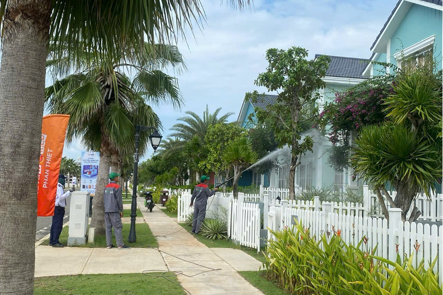 Pest Kill 247 – Đơn vị diệt mối chuyên nghiệp, đáng tin cậy hàng đầu tại TPHCM