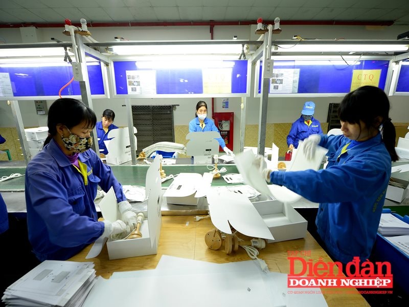 Sửa Luật Doanh nghiệp: Đảm bảo đáp ứng cam kết quốc tế