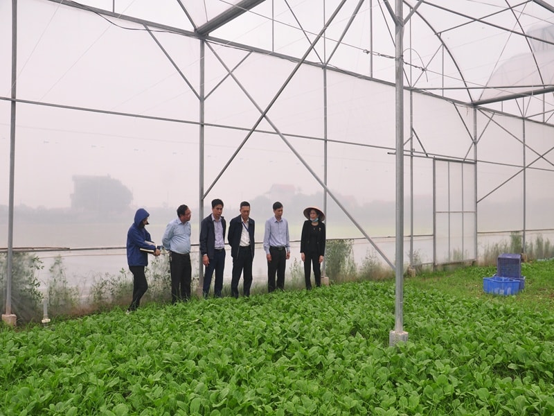 Hải Phòng "bơm" vốn lớn, mở đường cho nông nghiệp công nghệ cao cất cánh