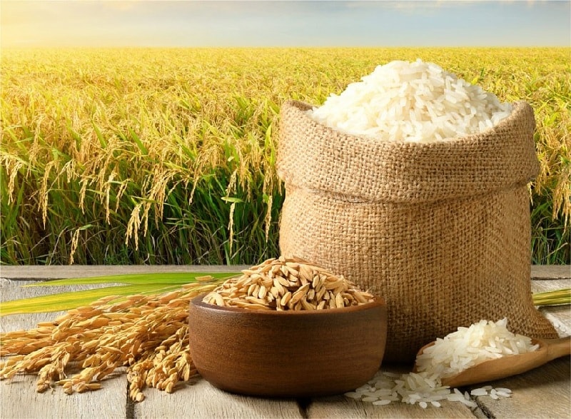 Chuyển đổi hệ thống lương thực và con số 40 tỷ USD