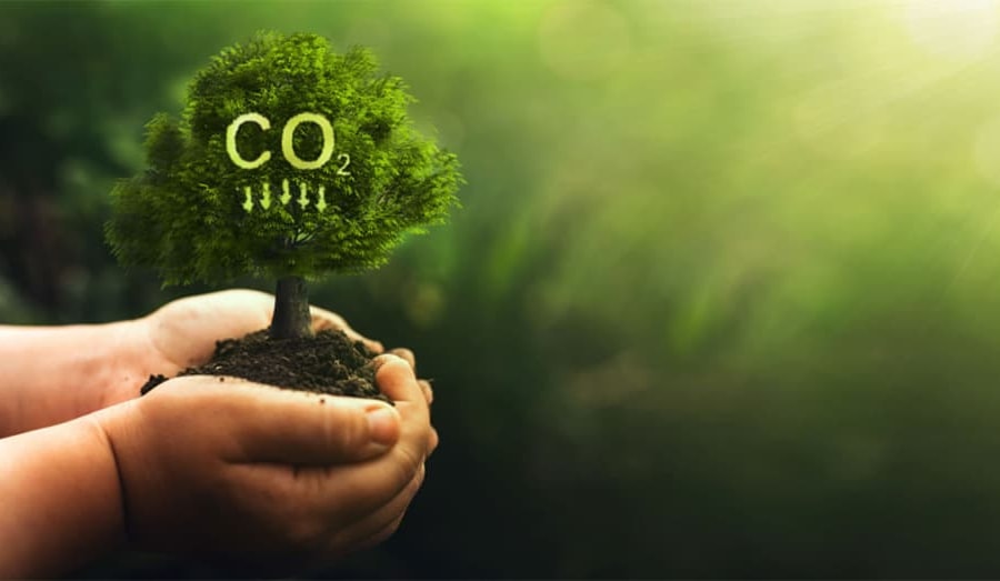 Thu hút tư nhân tham gia thị trường carbon