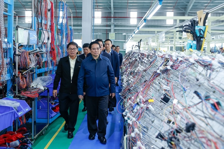 Khát vọng “đại bàng” kinh tế