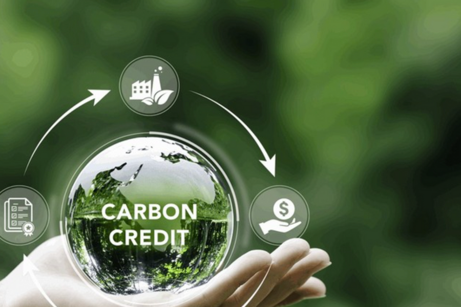 Tín chỉ carbon làm tài sản đảm bảo: Hướng đi mới từ bài học quốc tế
