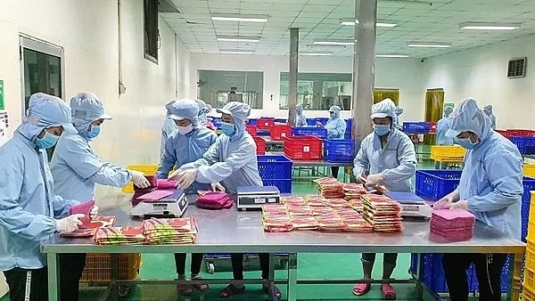 Thủ tục hợp quy: Gánh nặng cần xóa bỏ