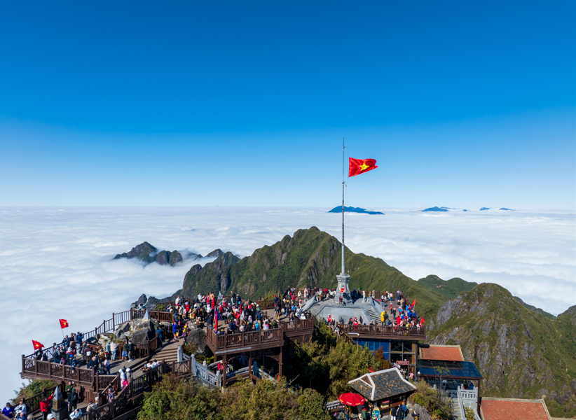 Fansipan: Địa điểm ngắm hoa hồng đẹp nhất miền Bắc